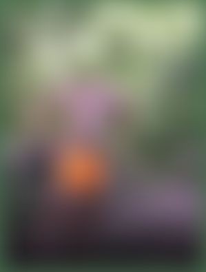Max_x 2